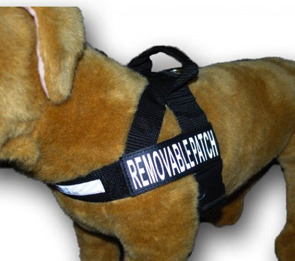 Doggie Stylz DO NOT PET Nylon Strap Service Dog Harness No Pull Guide Assistance Comes with 2 Reflective DO NOT PET Removable Patches. Please Measure Your Dog Before Ordering. - size: Large Fits Girth 26-33"