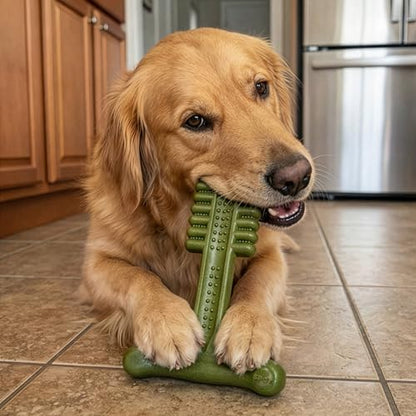 SPOT Bam-Bones Plus Toothbrush Dog Chew Toy for Large Dogs 60-90 lbs, Bamboo & Nylon Dental Chew with Mint & Baking Soda, T-Bone Shape for Moderate to Heavy Chewers, 7 Inch - size: 7 Inch (Pack of 1)