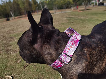 Heavy Duty Nylon Dog Collar, Adjustable Martingale Dog Collar for Walking Training Boy and Girl Dogs Medium Large Dogs (XL:53-62CM, Ocean) - color: Ocean, size: X-Large