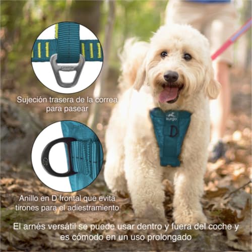 Kurgo Enhanced Strength Tru-Fit Dog Car Harness - Pet Travel Safety Harness - Crash Test Certified Fit - Five Point Adjustment - Secure Buckle - Padded Chest - Ink Blue - Large