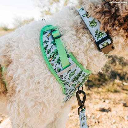 Lucy & Co. x Parks Project Feel the Earth Breath No-Pull Dog Harness, Adjustable Front Clip Harness with Comfort Padding, X-Large - color: Feel the Earth Breath, size: X-Large