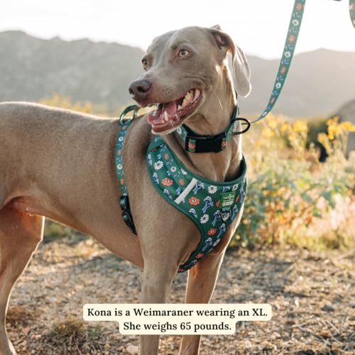 Lucy & Co. x Parks Project Power to the Parks No-Pull Dog Harness, Adjustable Front Clip Harness with Comfort Padding, X-Large - color: Power to the Parks, size: X-Large