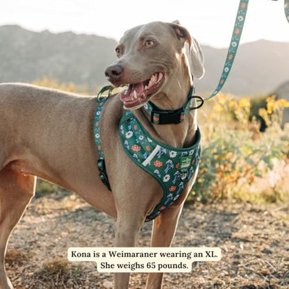 Lucy & Co. x Parks Project Power to the Parks No-Pull Dog Harness, Adjustable Front Clip Harness with Comfort Padding, X-Large - color: Power to the Parks, size: X-Large