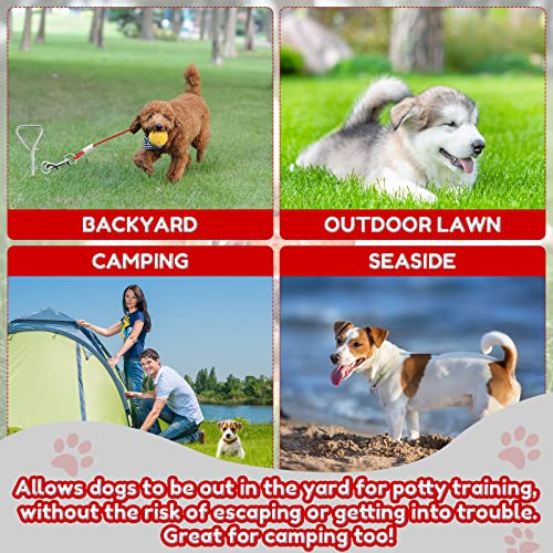 Amylove 2 Set Dog Tie Out Cable and Stake 32ft Leash Chain 16" Spiral Stake Heavy Duty Leash and Stakes for Outside Yard Camping Beach for Medium to Large Dogs up to 125 Lbs(Red) - color: Red