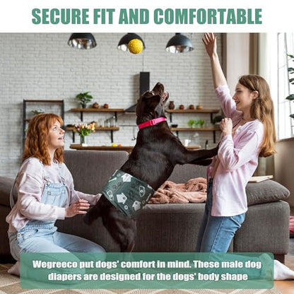 wegreeco Washable Male Dog Belly Band (Stylish Pattern) - Pack of 3 - Dog Diapers Male - Washable Male Dog Belly Wrap (Bones & Footprints, X-Small) - color: Bones & Footprints, size: X-Small (Pack of 3)