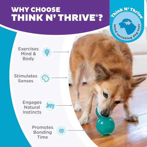 Outward Hound Double-Tuff Stuffable Dog Toy, Medium Blue, 3.9" x 2.5" – Treat Dispensing Chew Ball for Small to Medium Dogs, Interactive Puzzle Toy for Enrichment & Slow Feeding - color: Double-Tuff Stuffable (Blue)