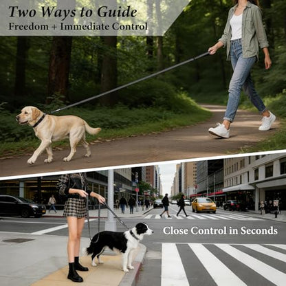Double Handle Dog Leash 6 FT Reflective 2 Handle Traffic Lead with Padded Grip, Heavy Duty Nylon Leash for Walking Training, for Small Medium Large Dogs, Black - color: Black