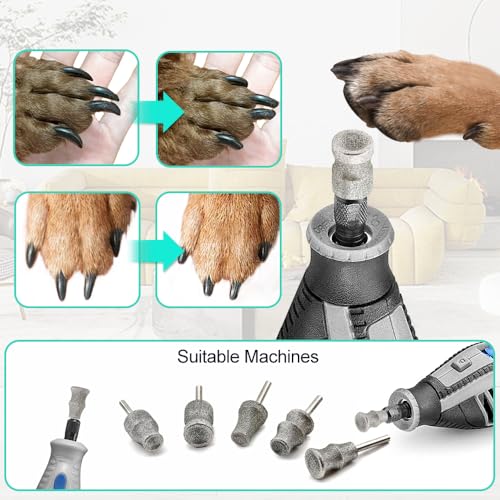 Diamond Dog Nail Grinder Bit (1/8" Shank) – 5 PCS Heavy Duty Professional Rotary Grinder Attachment for Dremel, Dual-Beveled & Cooling Design Head for Safe, Quick Pet Claw Shaping - size: 5pcs Mix