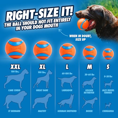 Chuckit Pro Fetch Toy Ball Launcher For Dogs; Compatible With Any Chuckit! Medium Size 18 Inch + Max Glow Ball