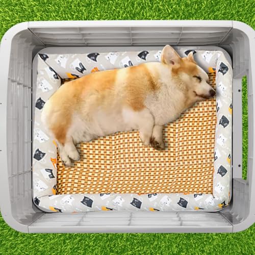 28 inch Raised Plastic Dog House, Outdoor Indoor Doghouse with Adjustable Sunroof and Elevated Base, Water Resistant Pet House Animal Puppy Shelter Kennel for Small Medium Dogs, Blue & White