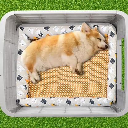 28 inch Raised Plastic Dog House, Outdoor Indoor Doghouse with Adjustable Sunroof and Elevated Base, Water Resistant Pet House Animal Puppy Shelter Kennel for Small Medium Dogs, Blue & White