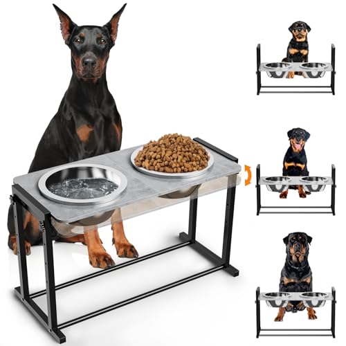 Elevated Dog Bowls for Extra Large Dogs, 4 Height Adjustable Tilted Raised Dog Bowl Stand with 2 Stainless Steel 150 oz Bowls, 16.1" Tall Dogs Bowl Stand Feeder for Giant Breed - color: X-Large Dogs