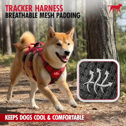Tuff Pupper Escape Proof No Escape Dog Harness | 5 Point Adjustable Fit Harness for Dogs | Padded Dog Harnesses | Handle Dog Lift Harnesses - color: Purple, size: Medium: 22-27 Inch Chest