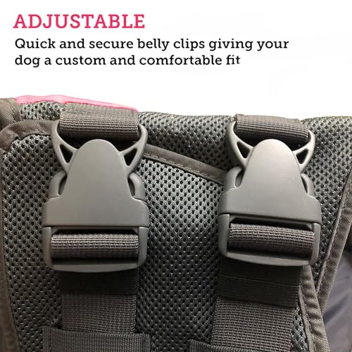 Water Float Dog Flotation Life Jacket Vest, Swimming Float Aid with Safety Handle, Adjustable Comfortable Durable Preserver High Buoyancy Coat (Green, XX-Small) - color: Green, size: XX-Small