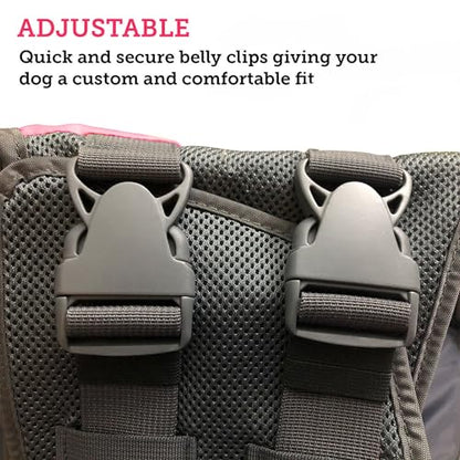 Water Float Dog Flotation Life Jacket Vest, Swimming Float Aid with Safety Handle, Adjustable Comfortable Durable Preserver High Buoyancy Coat (Pink, Small) - color: Pink, size: Small