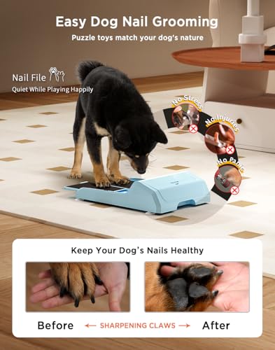 Dog Nail File Toy with 2 Dog Treat Puzzle, Interactive Dog Enrichment Toys for IQ Training, Dog Scratch Pad for Nails, Slow Feeder and 2 Level in 1 Dog Puzzle, Strong Anti-Slip Strips