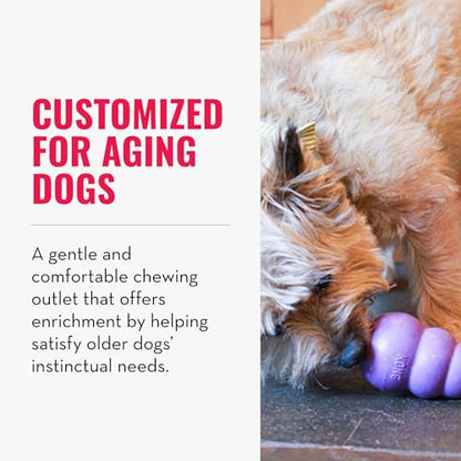 KONG Senior - Dog Toy with Gentle, Natural Rubber - Durable Dog Toy for Older Dogs - Use Treats with Stuffable Chew Toy - Treat Toy for Chewing & Fetching - for Medium Dogs (Pack of 2) - size: Medium(2-Pack)