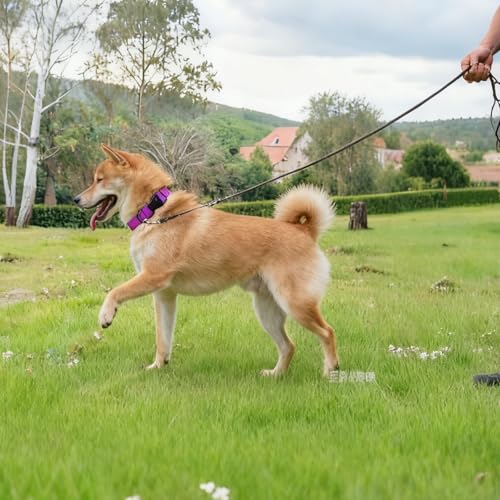 Waterproof Dog Collar Durable and Easy to Clean Rubber Dog Collars Odor-Proof Fits Small Medium Large Dogs (Rose Purple, Small (9.5-14.2” Neck)) - color: Rose Purple, size: Small (9.5 -14.2” Neck)