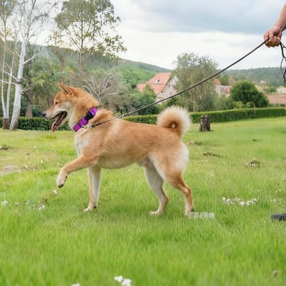 Waterproof Dog Collar Durable and Easy to Clean Rubber Dog Collars Odor-Proof Fits Small Medium Large Dogs (Rose Purple, Medium (11.8-18.5” Neck)) - color: Rose Purple, size: Medium (11.8 -18.5” Neck)