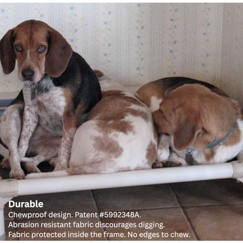 Kuranda Chewproof Elevated Dog Bed – 40" x 25" - Sunsure Textilene - Sierra - color: Sierra, size: Large