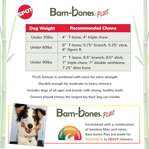 SPOT Bam-Bones Plus Triple Chew - Bamboo Fiber & Nylon, Durable Long Lasting Dog Toy for Aggressive Chewers – Great for Adult Dogs & Teething Puppies Under 30lbs, Non-Splintering, 4in, Bison Flavor - size: 4 in (2-Pack)