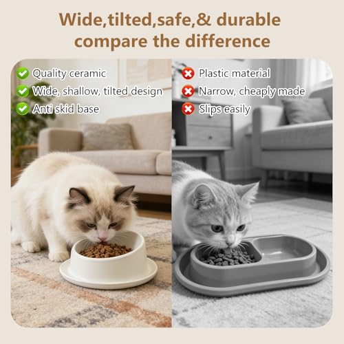 Ant Proof No Spill Ceramic Cat Food Bowls,15° Tilted Neck Support,No Spill,Non-Slip Base,Easy Clean Pet Water Dishes for Cat and Small Dog Indoor or Outdoor Use(2 Pack)