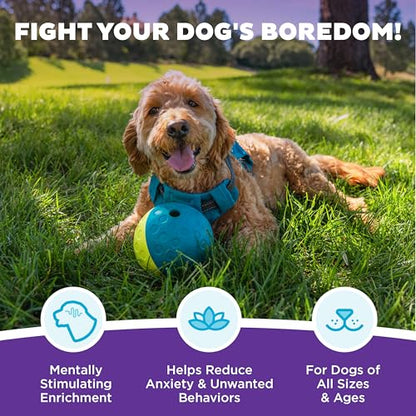 Outward Hound by Nina Ottosson Treat Tumble – Interactive Food-Dispensing Dog Puzzle Ball, Level 1 Beginner, Small, 4.8" - color: Treat Tumble (Small Blue)