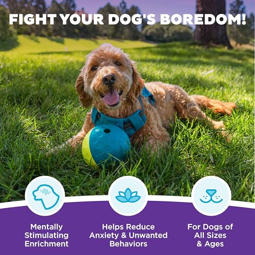 Outward Hound by Nina Ottosson Treat Tumble – Interactive Food-Dispensing Dog Puzzle Ball, Level 1 Beginner, Small, 4.8" - color: Treat Tumble (Small Blue)
