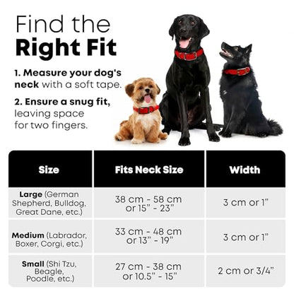 Regal Dog Products Small Red Dog Collar with Heavy Duty Double Buckle & D Ring | Vinyl Coated, Custom Fit, Adjustable Biothane Dog Collar | Chew Resistant Waterproof Center-Ring Collar for Dogs - color: Red, size: Small