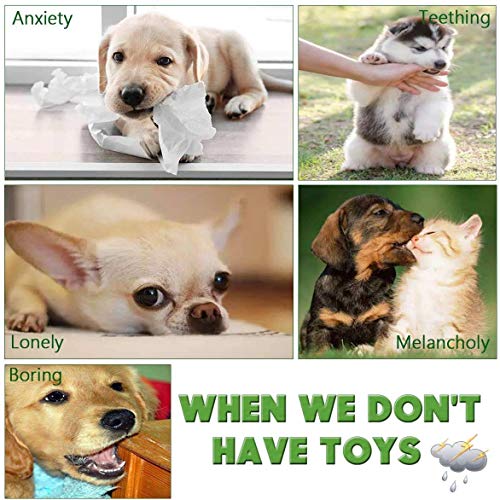 Dog Chew Toys for Small to Medium Dogs - 10 Pack Tough Dog Toys, Interactive Rope Teething Toy for Puppy, Durable Tug of War Toy, Birthday and Festival Gift Set - color: 10 Pack