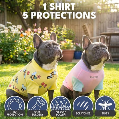 Spark Paws Sunblock Dog T-Shirt, SPF30 Protection, Lightweight Breathable Quick Dry for Dogs with Sensitive Skin - Bees & Gelato (Set of 2) - Size 3XL - color: Bees & Gelato, size: 3XL: 60-80lbs