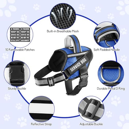 Service Dog Vest Harness and Leash Set, Animire in Training Dog Harness with 10 Dog Patches, Reflective Dog Leash with Soft Padded Handle for Small, Medium, Large, and Extra-Large Dogs - color: Blue, size: XXS