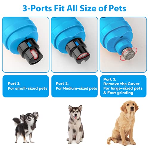Casfuy Dog Nail Grinder with 2 LED Light - New Version 2-Speed Powerful Electric Pet Nail Trimmer Professional Quiet Painless Paws Grooming & Smoothing for Small Medium Large Dogs(Bright Blue) - color: D-Bright blue