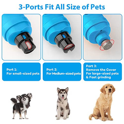 Casfuy Dog Nail Grinder with 2 LED Light - New Version 2-Speed Powerful Electric Pet Nail Trimmer Professional Quiet Painless Paws Grooming & Smoothing for Small Medium Large Dogs(Bright Blue) - color: D-Bright blue
