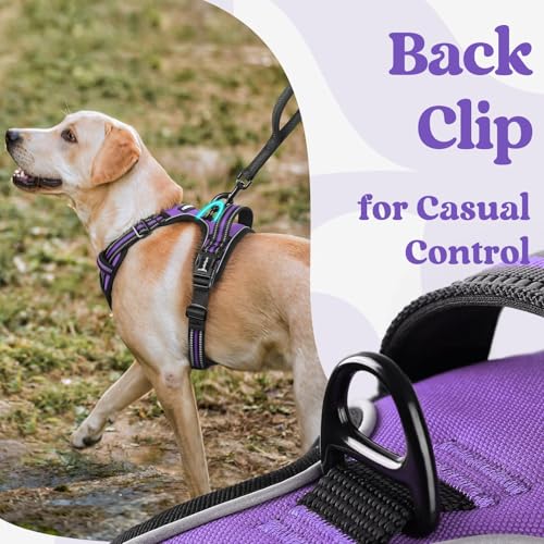 rabbitgoo Dog Harness Small Sized, No Pull Pet Harness with 3 Buckles, Adjustable Soft Padded Vest with Control Handle, Walking Reflective Pet Vest for Small Dogs, Purple, S - color: Purple, size: Small
