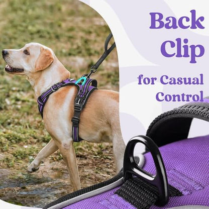 rabbitgoo Dog Harness Small Sized, No Pull Pet Harness with 3 Buckles, Adjustable Soft Padded Vest with Control Handle, Walking Reflective Pet Vest for Small Dogs, Purple, S - color: Purple, size: Small