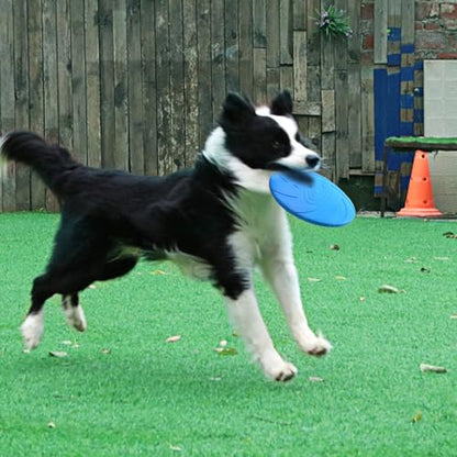 Nonslip Dog Flying Discs Chew Outdoor Toy Rubber Soft Training Exercise for Active Pet