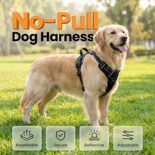 Dog Harness, No Pull Dog Harness, Reflective Front Clip Vest - Adjustable Soft Padded with Easy Control Handle for Small Medium Large Dogs (Black L) - color: Black L