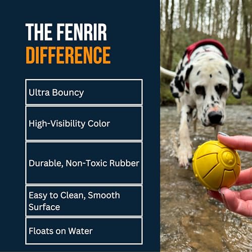 Fenrir - Dog Ball - High Bouncing Yellow Rubber for Fetch & Recall - 2.5 Inch Durable Floating Dog Toy - Water Retrievable Interactive Ball for All Breeds (Medium)