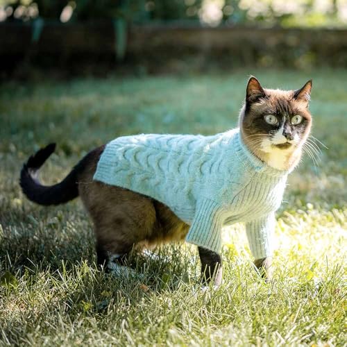 Blueberry Pet 2023 New Classic Fuzzy Textured Knit Pullover Turtle-Neck Dog Sweater in Heathered Jade, Back Length 14", Pack of 1 Clothes for Dogs - color: Heathered Jade, Turtle-neck, size: 14 inch