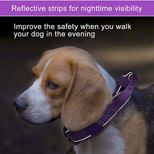 Reflective Dog Collar Heavy Duty Tactical with Control Handle and Metal Buckle for Dog Training(M,Purple) - color: Purple, size: Medium (Pack of 1)
