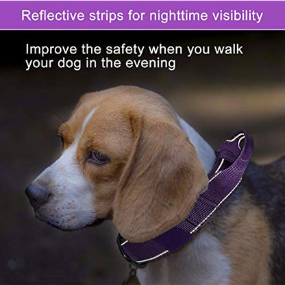 Reflective Dog Collar Heavy Duty Tactical with Control Handle and Metal Buckle for Dog Training(XL,Purple) - color: Purple, size: X-Large (Pack of 1)