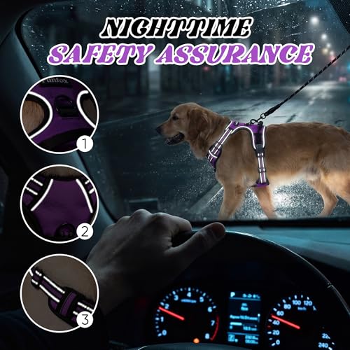 Funfox No Pull Dog Harness, Adjustable Pet Vest with Control Handle & Front Clip, Reflective Design for Small Medium Large XL Dogs, Purple XL - color: Purple, size: XL