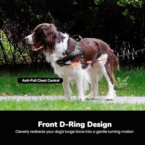 Didog No Pull Dog Harness with Breathable Mesh Padded,Reflective & Quick Fit Light Weight Dog Strap Vest Harness,Easy for Walking Training (XS:Chest 15-18", Mesh-Black) - color: Black, size: XS: Chest 15-18", Fit 9-18 lbs