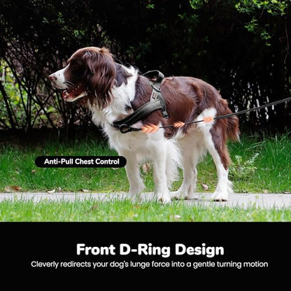 Didog No Pull Dog Harness with Breathable Mesh Padded,Reflective & Quick Fit Light Weight Dog Strap Vest Harness,Easy for Walking Training (M:Chest 21-26", Mesh-Black) - color: Black, size: M: Chest 21-26", Fit 28-50 lbs