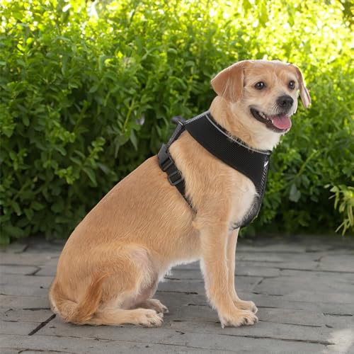 Best Pet Supplies Voyager Aerolite Over the Head Dog Harness, No Pull Breathable Air Mesh Vest, Quick Dry with Reflective Stitching, Adjustable Escape Resistant Harness - Black, Medium - color: Black, size: M