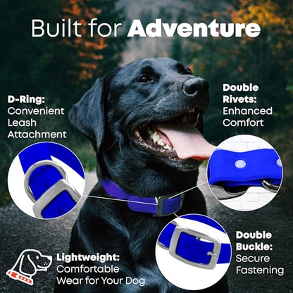 Regal Dog Products Small Blue Dog Collar with Heavy Duty Double Buckle & D Ring | Vinyl Coated, Custom Fit, Adjustable Biothane Dog Collar | Chew Resistant Waterproof Center-Ring Collar for Dogs - color: Blue, size: Small