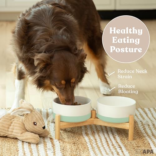 Ilyapa Ceramic Dog Bowls - Elevated for Medium Sized Pet with Raised Food and Water Set - Green Double 6 inch, 28 Oz Bowls & 13x6.3x5.5 Wooden Stand - color: Green