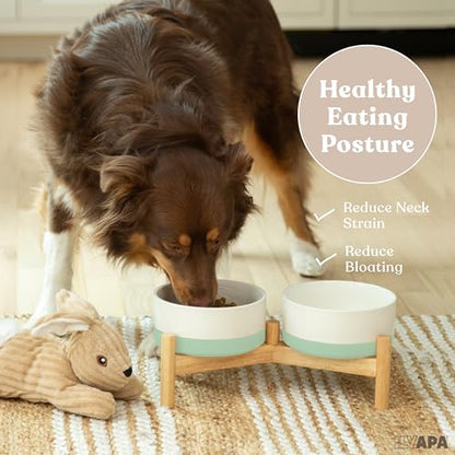 Ilyapa Ceramic Dog Bowls - Elevated for Medium Sized Pet with Raised Food and Water Set - Green Double 6 inch, 28 Oz Bowls & 13x6.3x5.5 Wooden Stand - color: Green