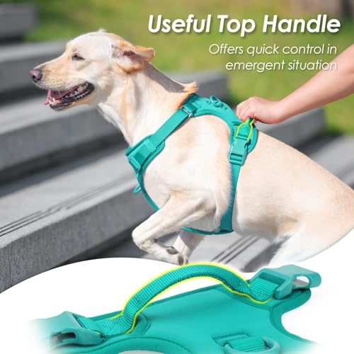 No Pull Dog Harness, Puppy Vest with Front Clip for Small Medium Large Sized Dog(MARRS Green,L) - color: MARRS Green, size: L(Neck:20.9-31.5", Chest:24.8-37.4")